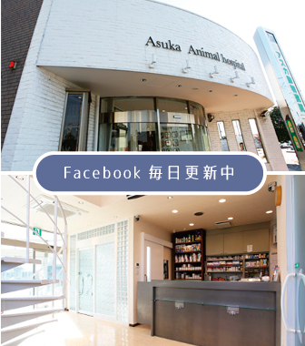 Facebook毎日更新中