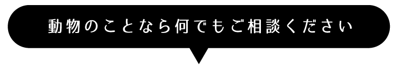 動物のことなら何でもご相談ください